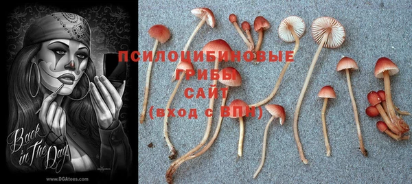 не бодяженный Нягань