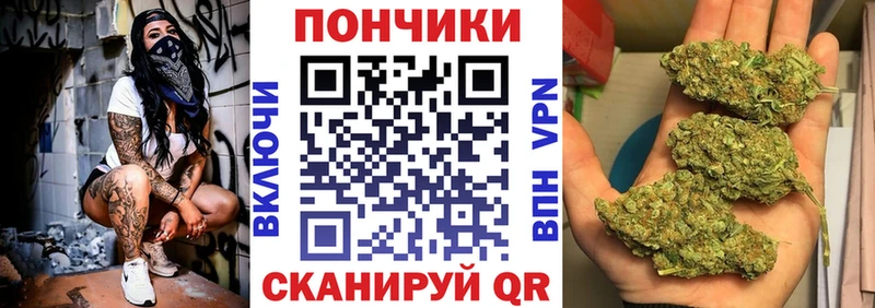 что такое наркотик  маркетплейс клад  Бошки марихуана индика  Ставрополь 
